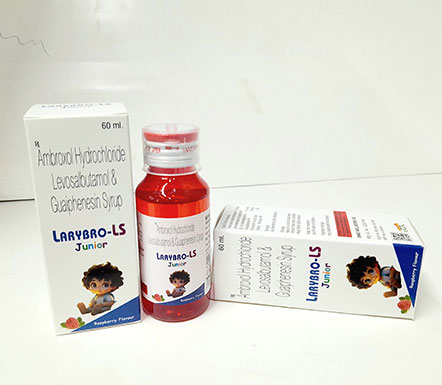 pharmaceutical_company_in_gujarat